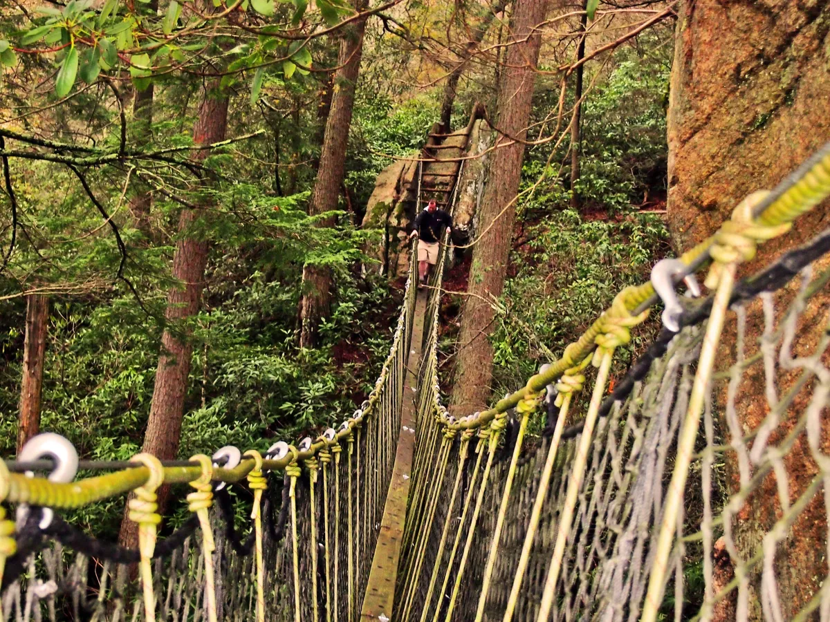 A thrilling suspension bridge stretches across a lush green landscape, with a person crossing and surrounded by towering trees and rock formations. The scene evokes the spirit of outdoor adventure and exploration, capturing the excitement and challenge of Eagles Nest’s trails and activities.